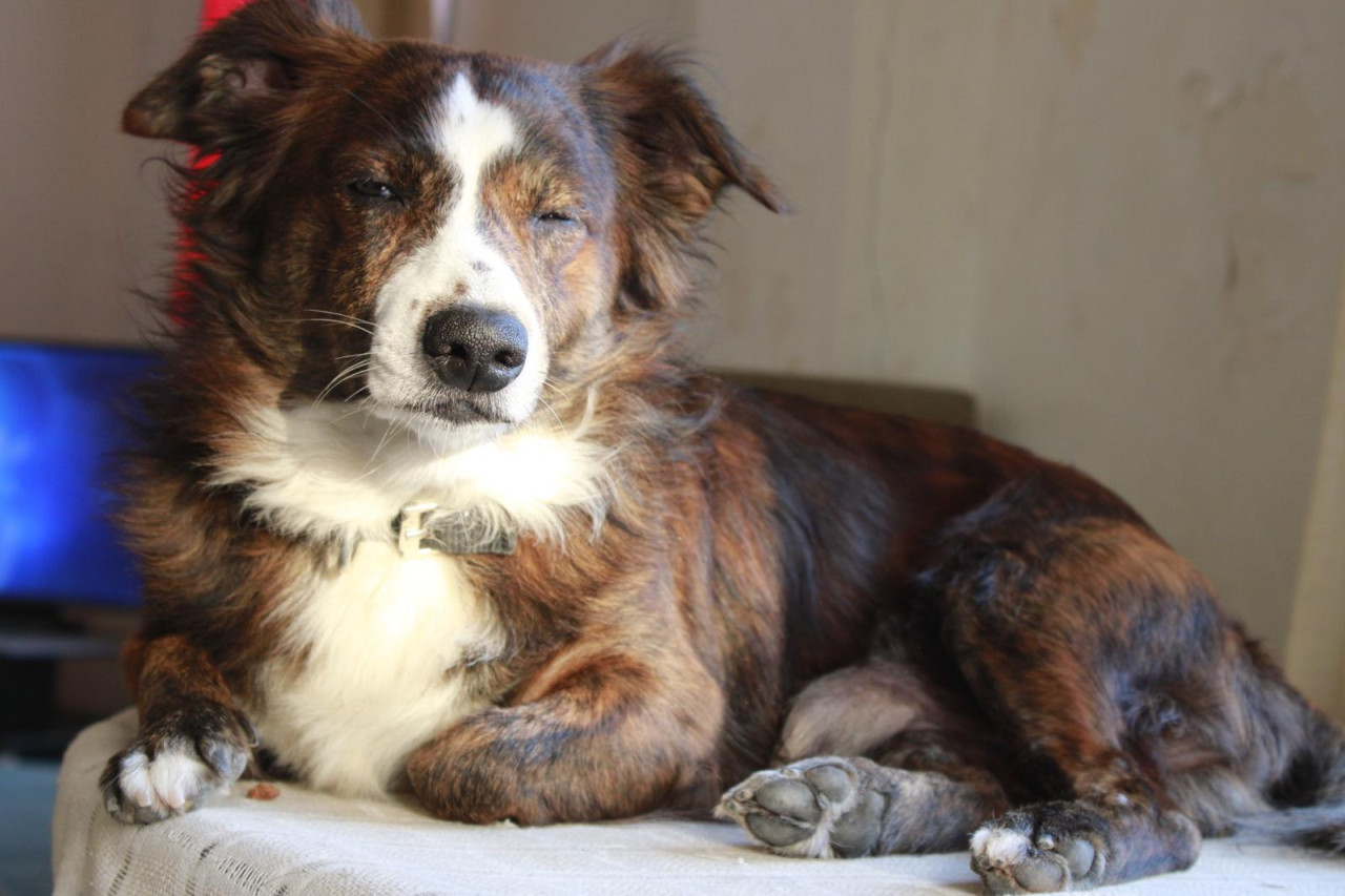 RUS FİNOSU OĞLUMA EŞ 5